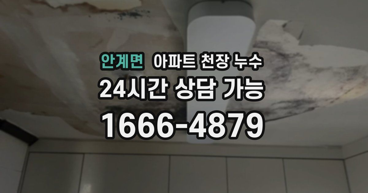 안계면 아파트 천장 누수