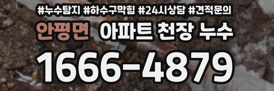 안평면 아파트 천장 누수