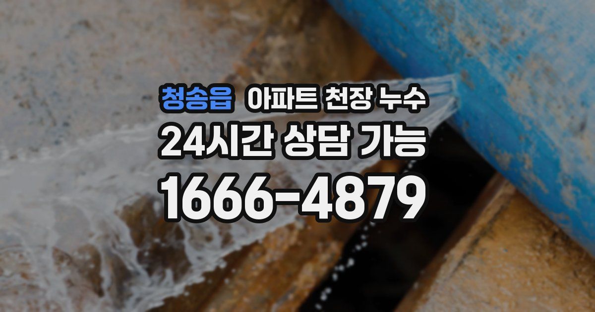 청송읍 아파트 천장 누수