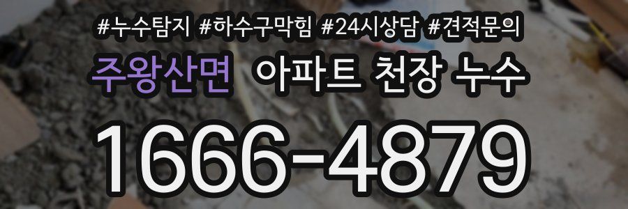 주왕산면 아파트 천장 누수