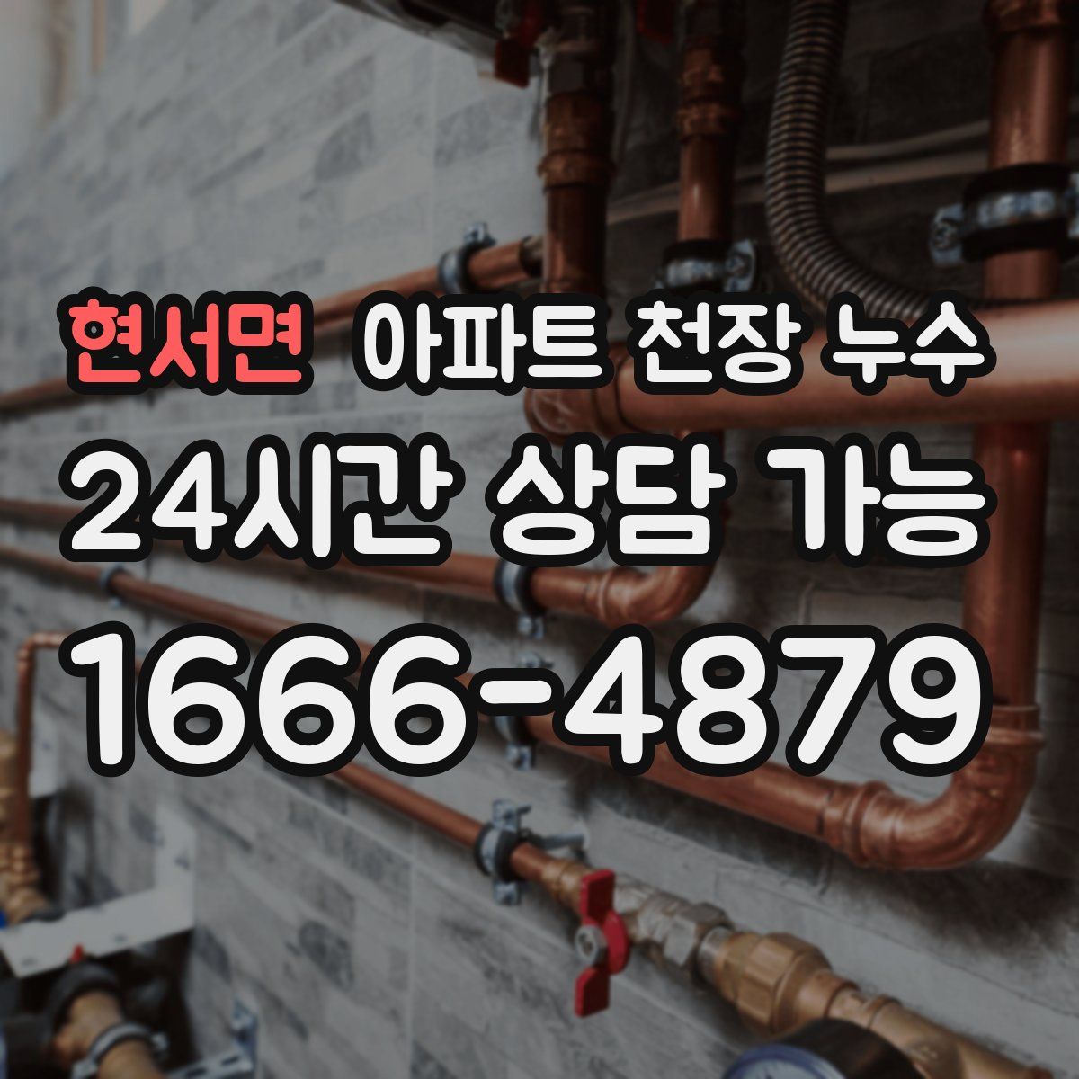 현서면 아파트 천장 누수