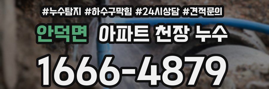 안덕면 아파트 천장 누수