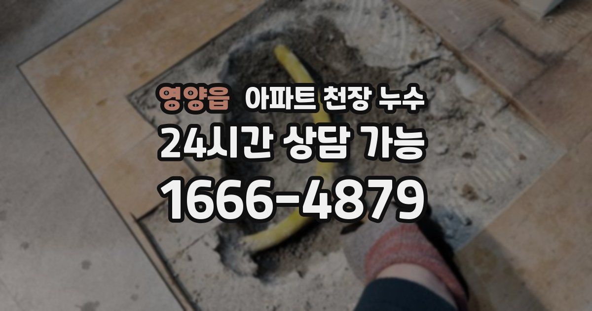 영양읍 아파트 천장 누수
