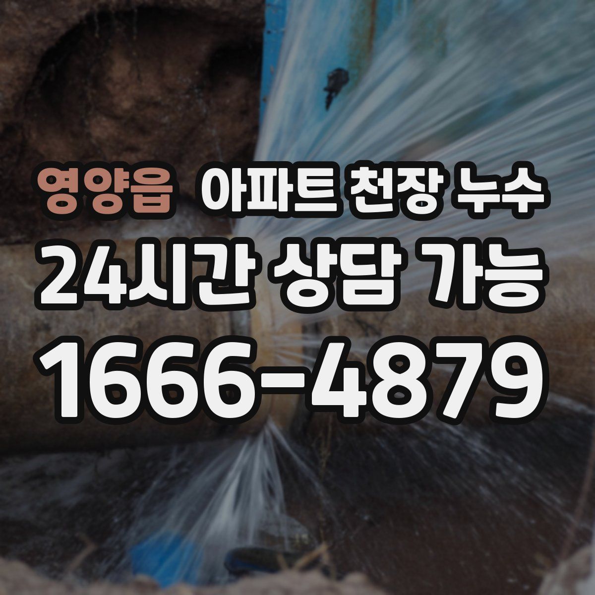 영양읍 아파트 천장 누수