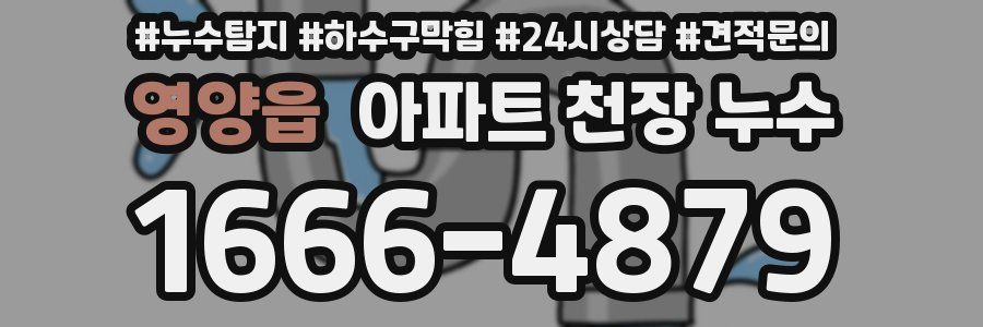 영양읍 아파트 천장 누수