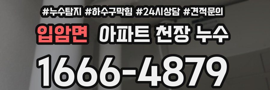 입암면 아파트 천장 누수