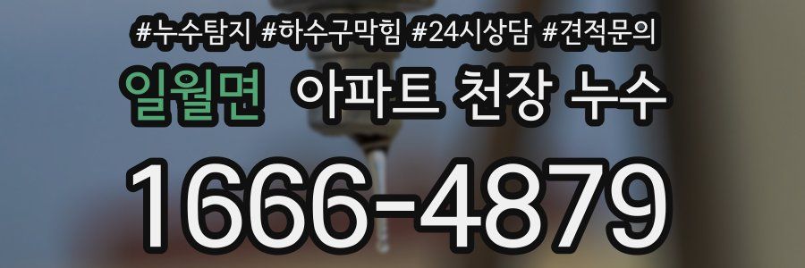 일월면 아파트 천장 누수