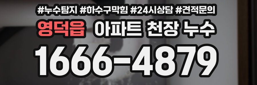 영덕읍 아파트 천장 누수
