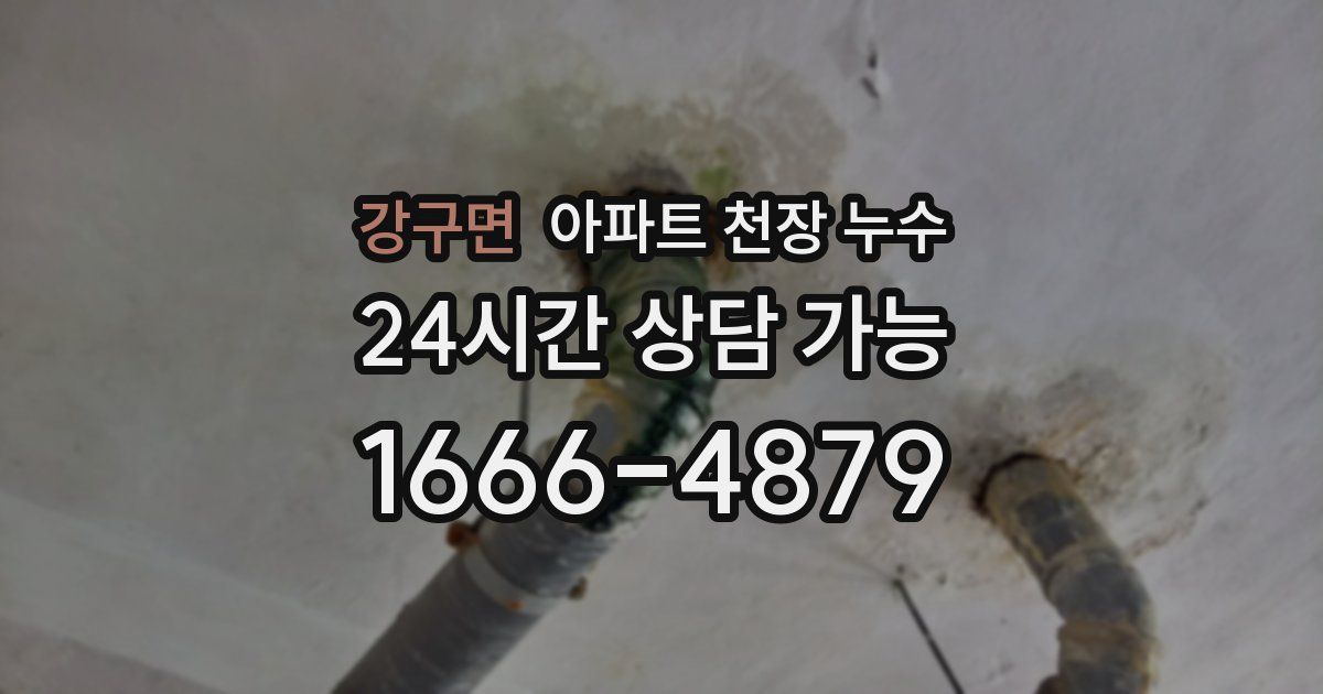 강구면 아파트 천장 누수
