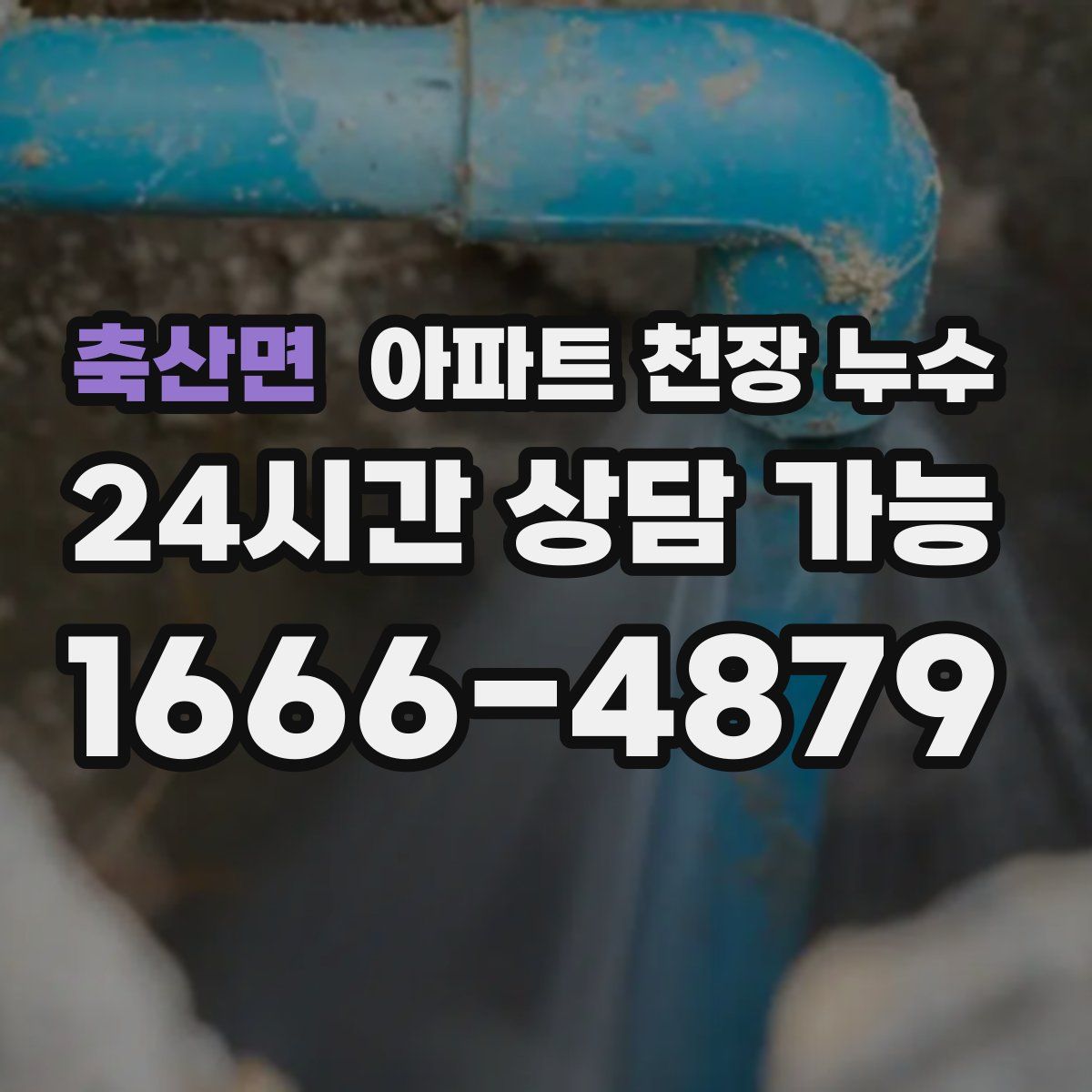 축산면 아파트 천장 누수