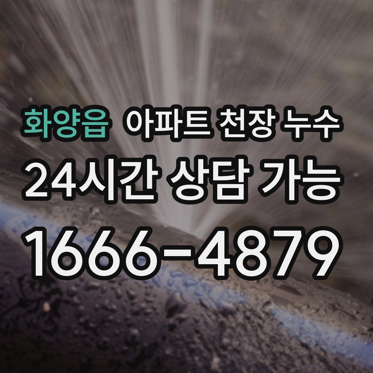 화양읍 아파트 천장 누수
