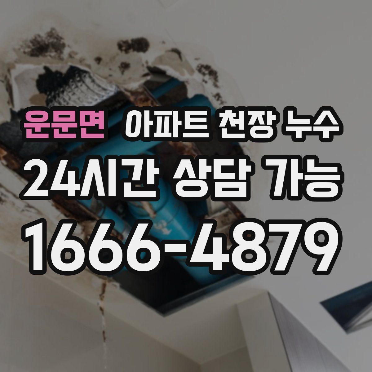 운문면 아파트 천장 누수
