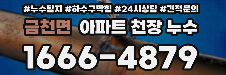 금천면 아파트 천장 누수