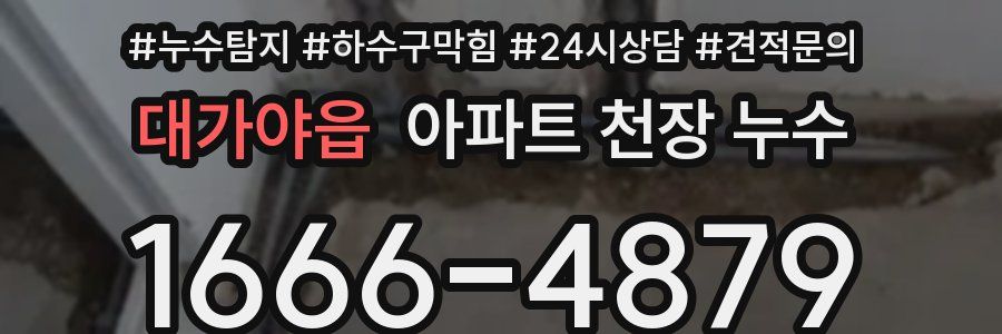 대가야읍 아파트 천장 누수