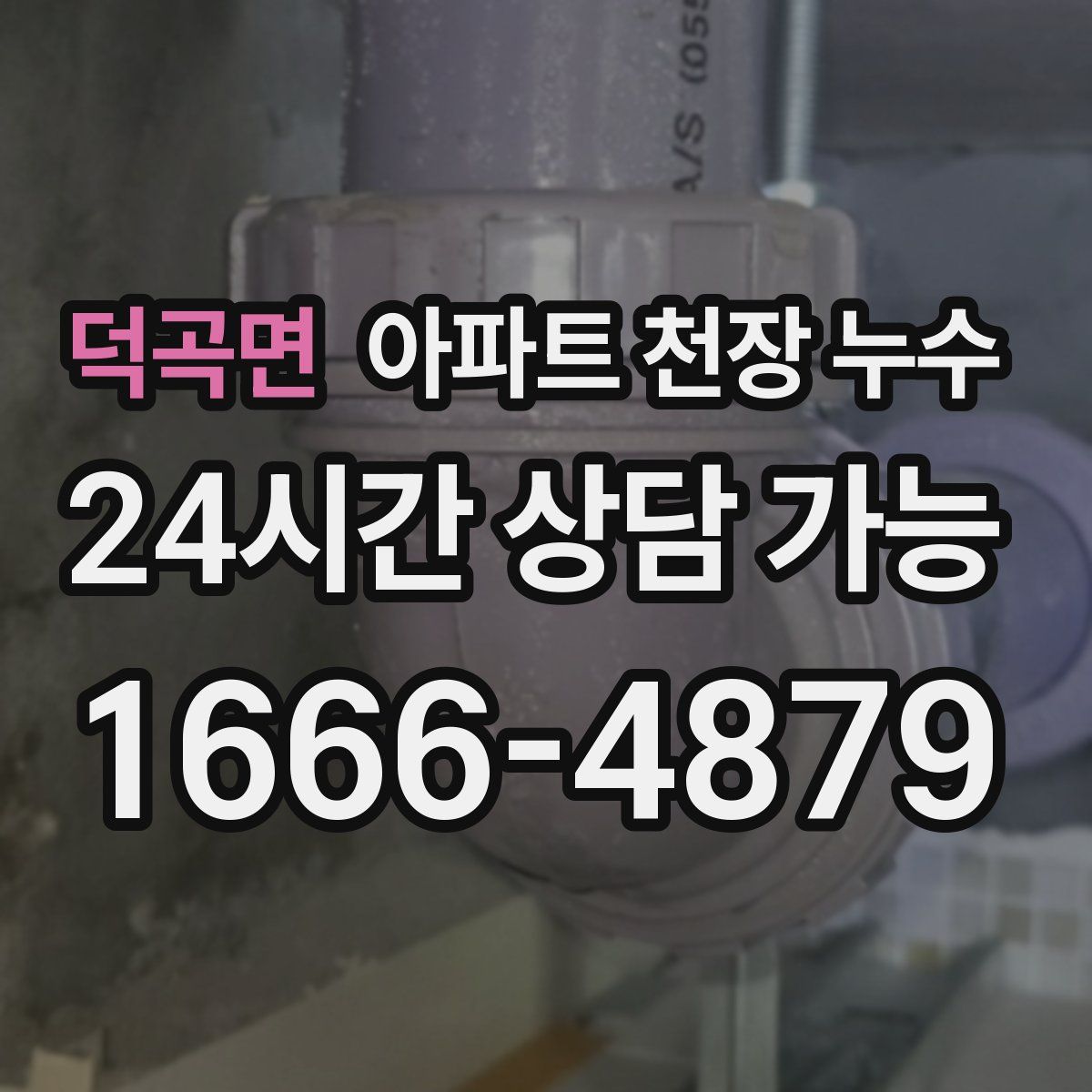 덕곡면 아파트 천장 누수