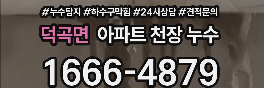 덕곡면 아파트 천장 누수