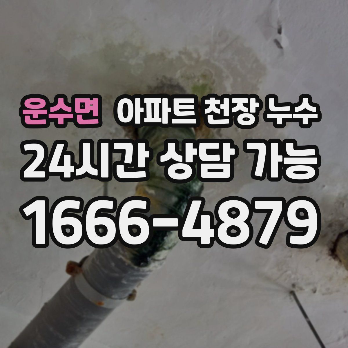 운수면 아파트 천장 누수