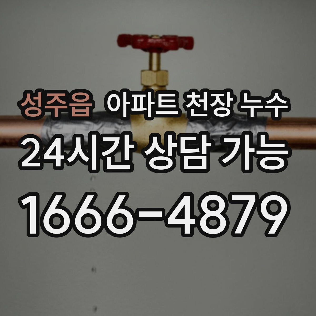 성주읍 아파트 천장 누수
