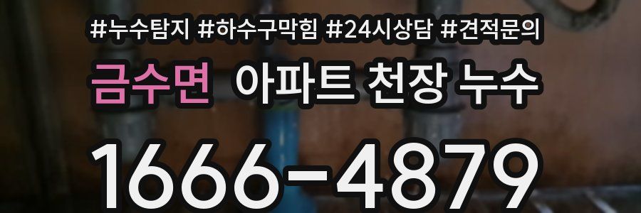 금수면 아파트 천장 누수