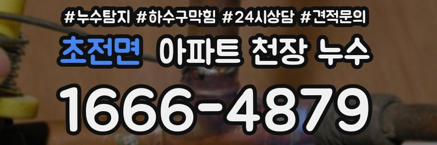초전면 아파트 천장 누수