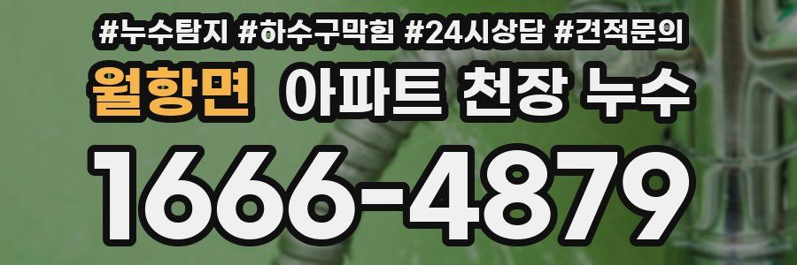 월항면 아파트 천장 누수