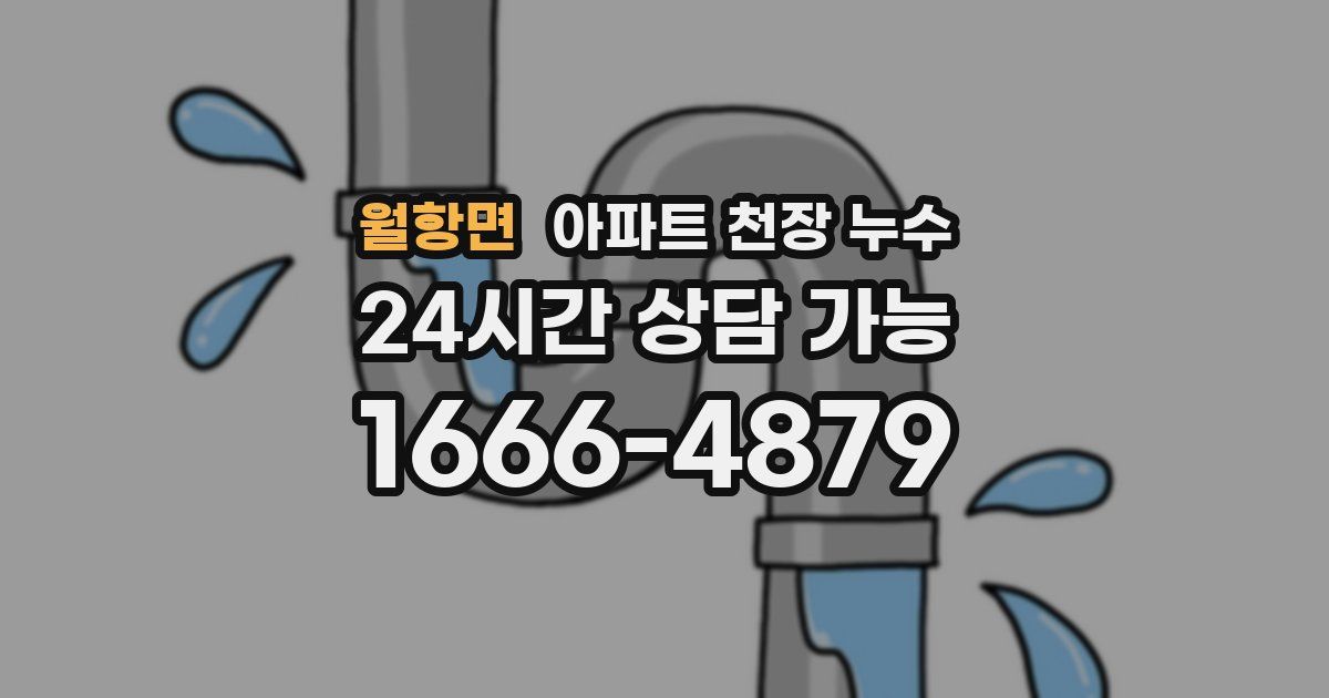 월항면 아파트 천장 누수