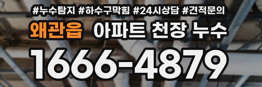왜관읍 아파트 천장 누수