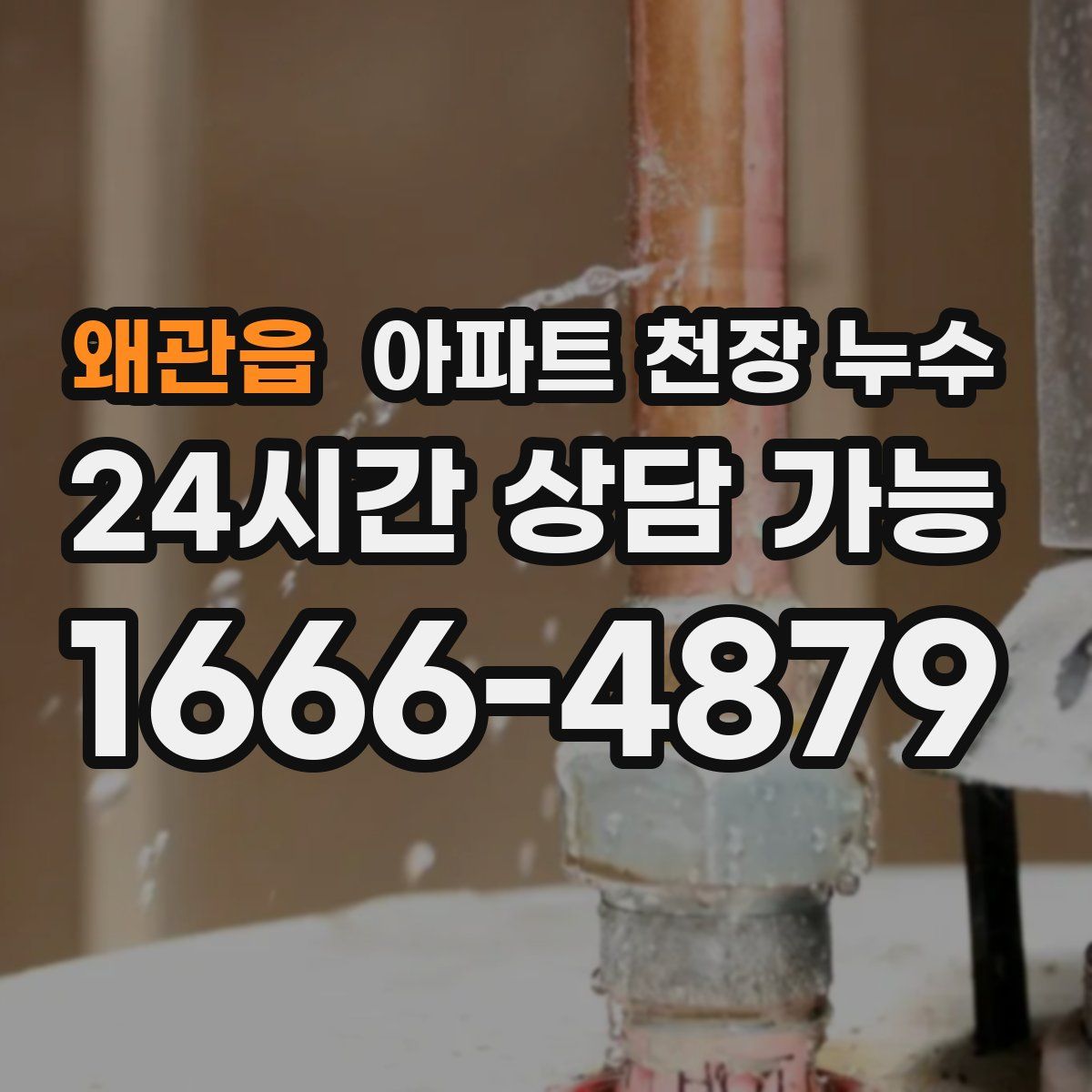 왜관읍 아파트 천장 누수