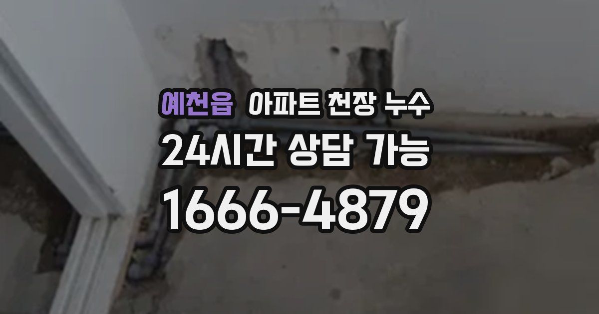 예천읍 아파트 천장 누수