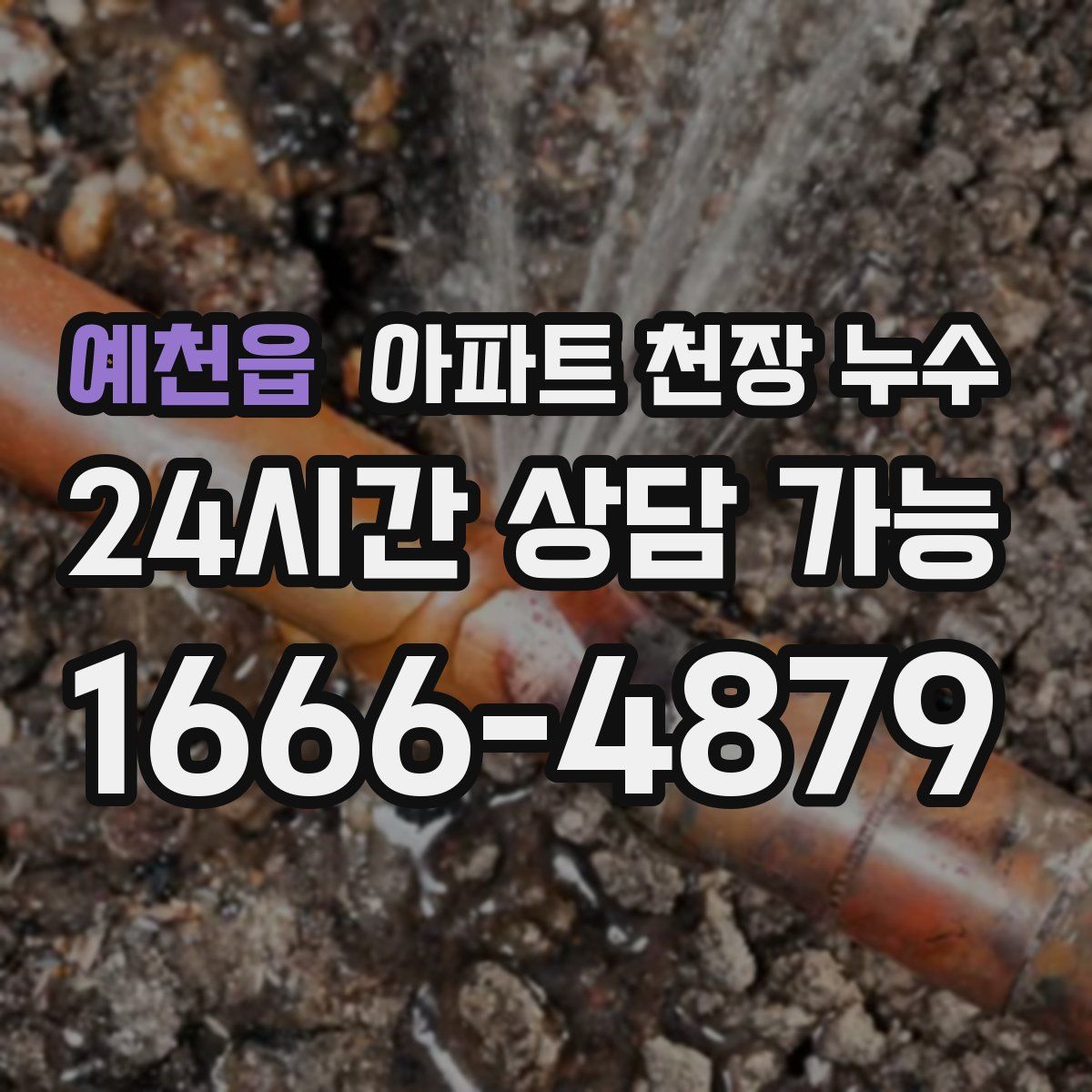 예천읍 아파트 천장 누수