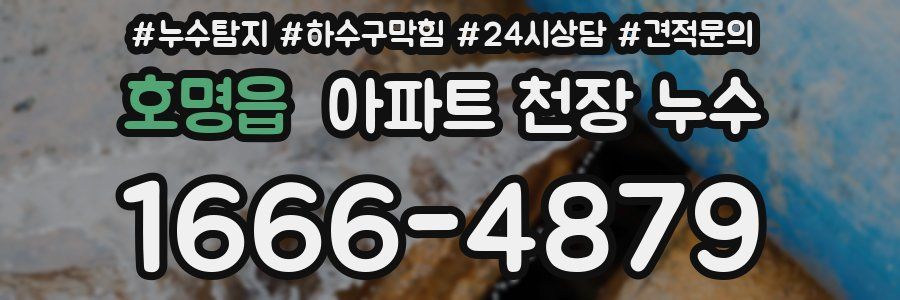 호명읍 아파트 천장 누수