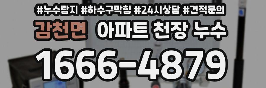감천면 아파트 천장 누수