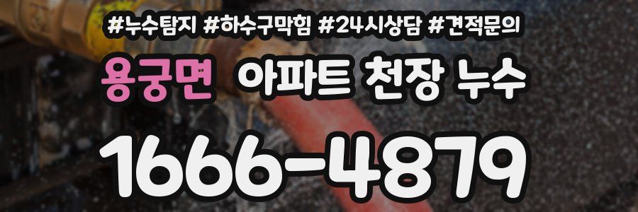 용궁면 아파트 천장 누수