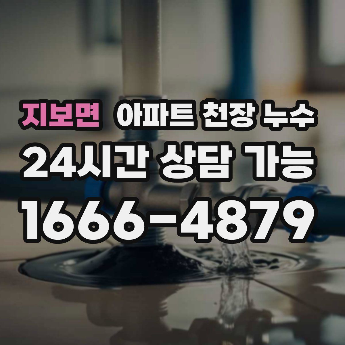 지보면 아파트 천장 누수