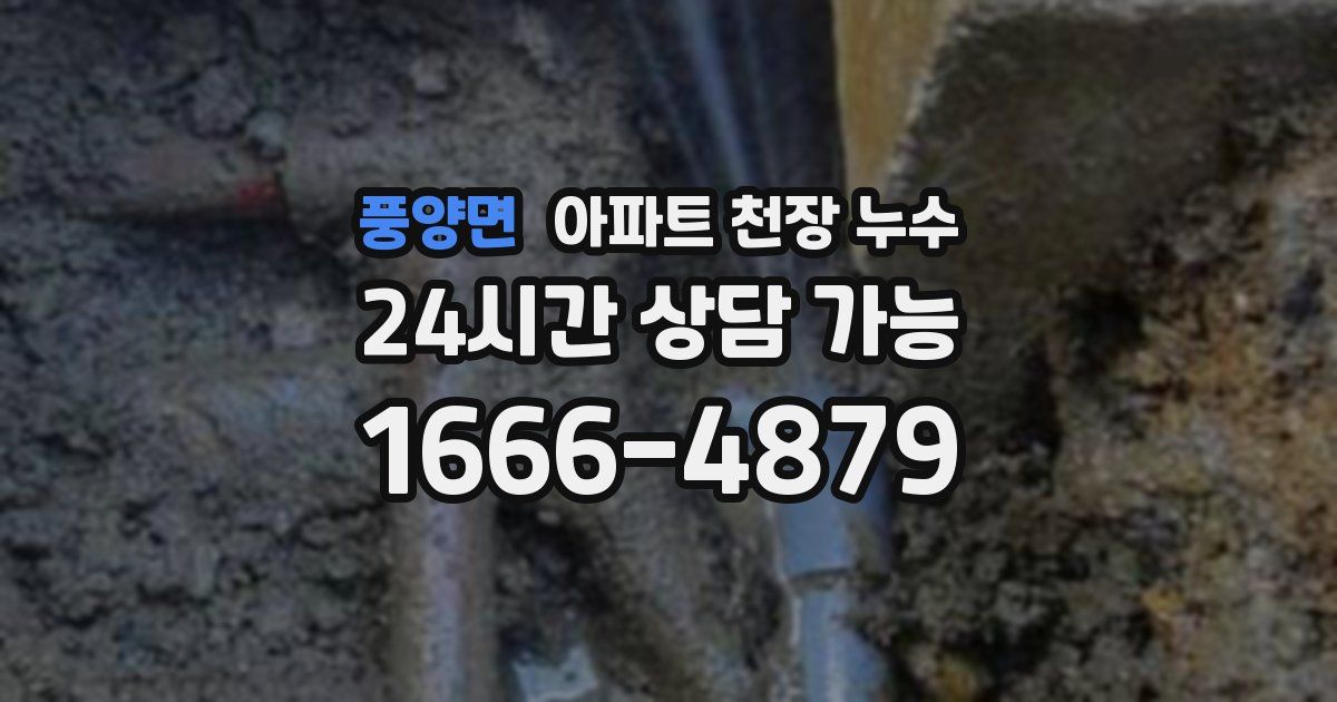풍양면 아파트 천장 누수
