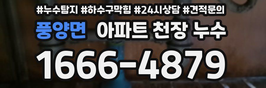 풍양면 아파트 천장 누수