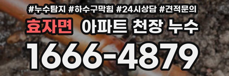 효자면 아파트 천장 누수