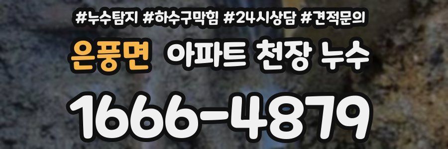 은풍면 아파트 천장 누수