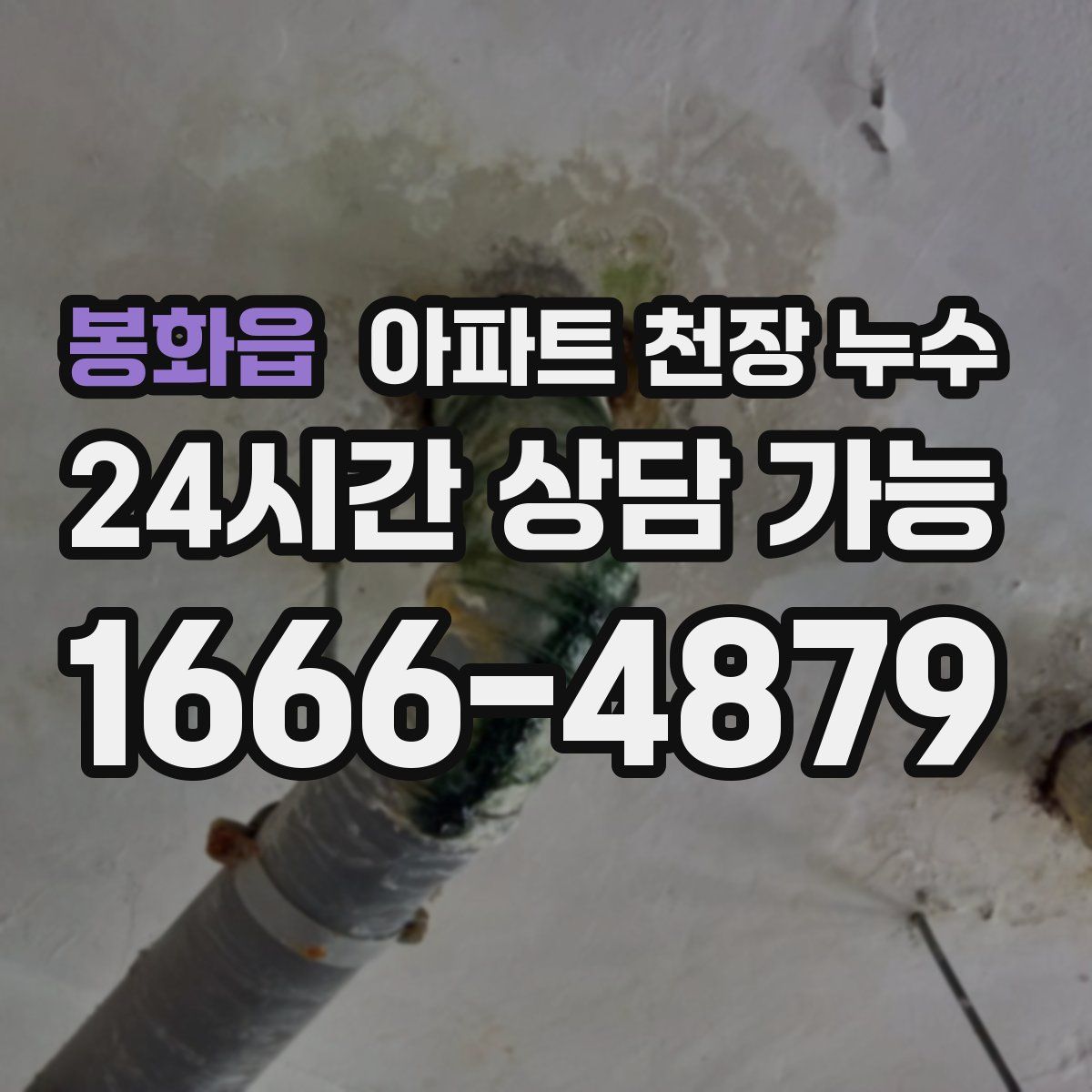 봉화읍 아파트 천장 누수