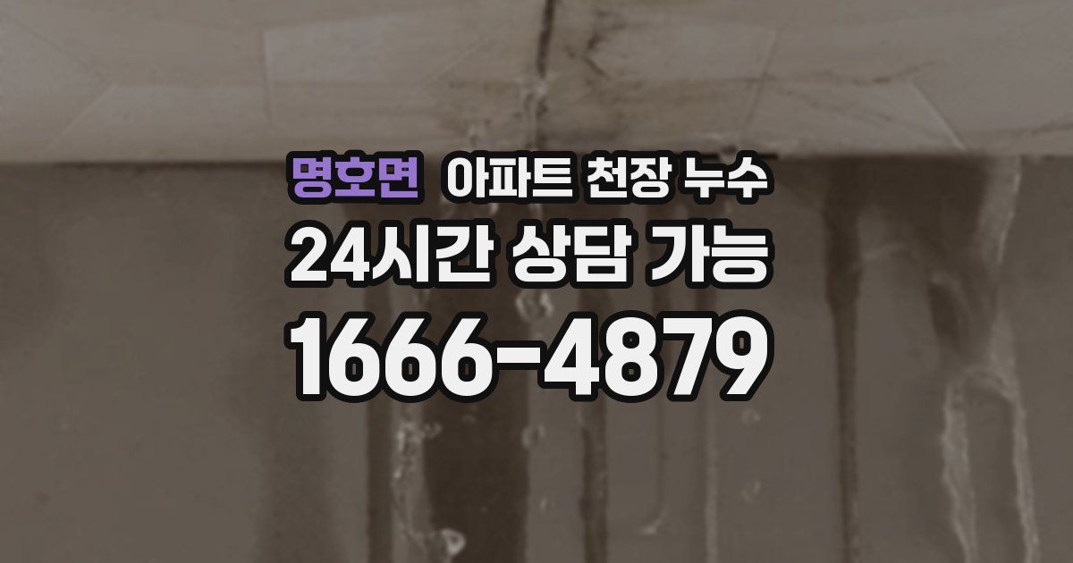 명호면 아파트 천장 누수