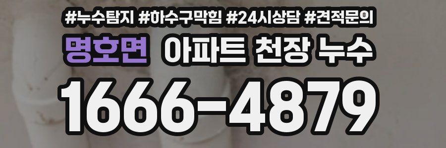 명호면 아파트 천장 누수