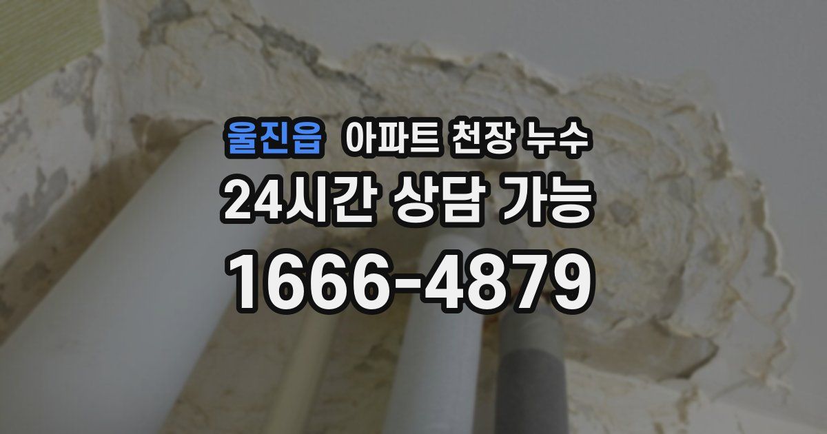 울진읍 아파트 천장 누수