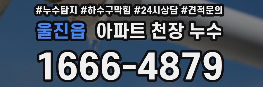 울진읍 아파트 천장 누수