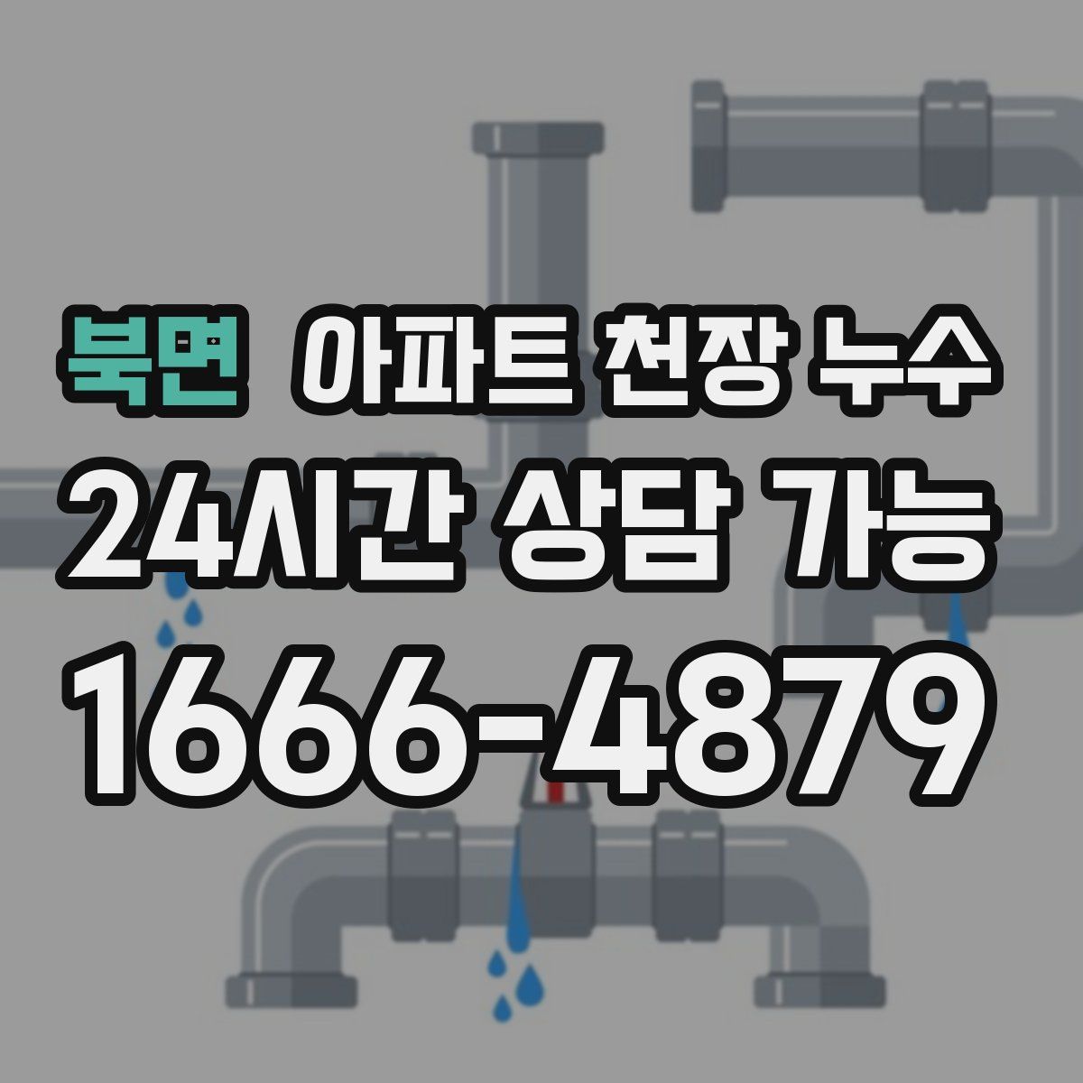 북면 아파트 천장 누수