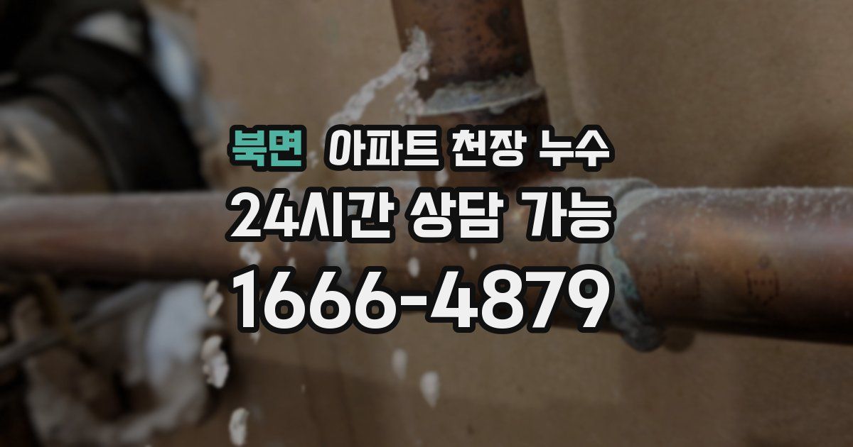 북면 아파트 천장 누수
