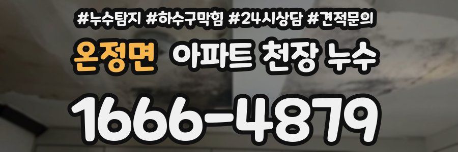 온정면 아파트 천장 누수
