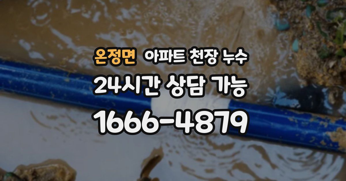온정면 아파트 천장 누수