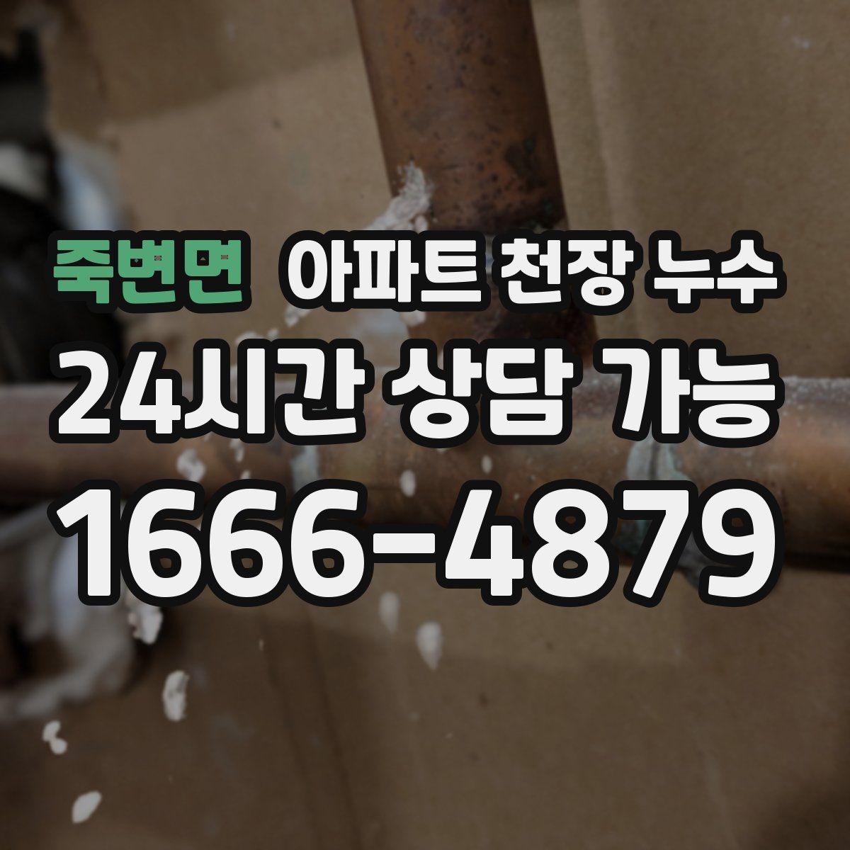 죽변면 아파트 천장 누수