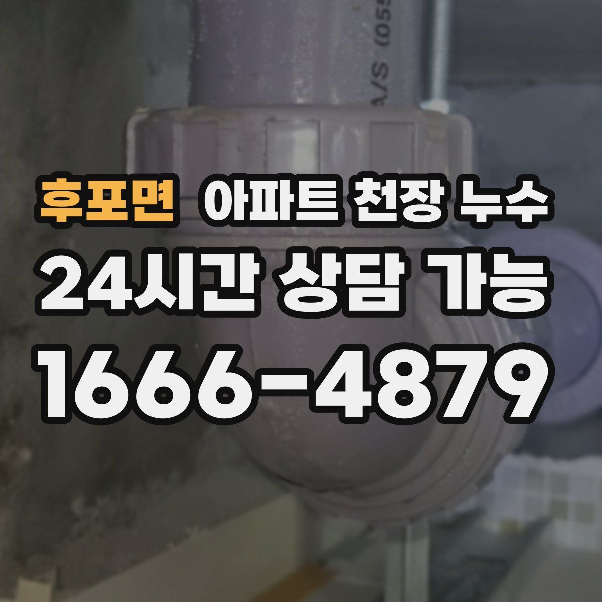 후포면 아파트 천장 누수