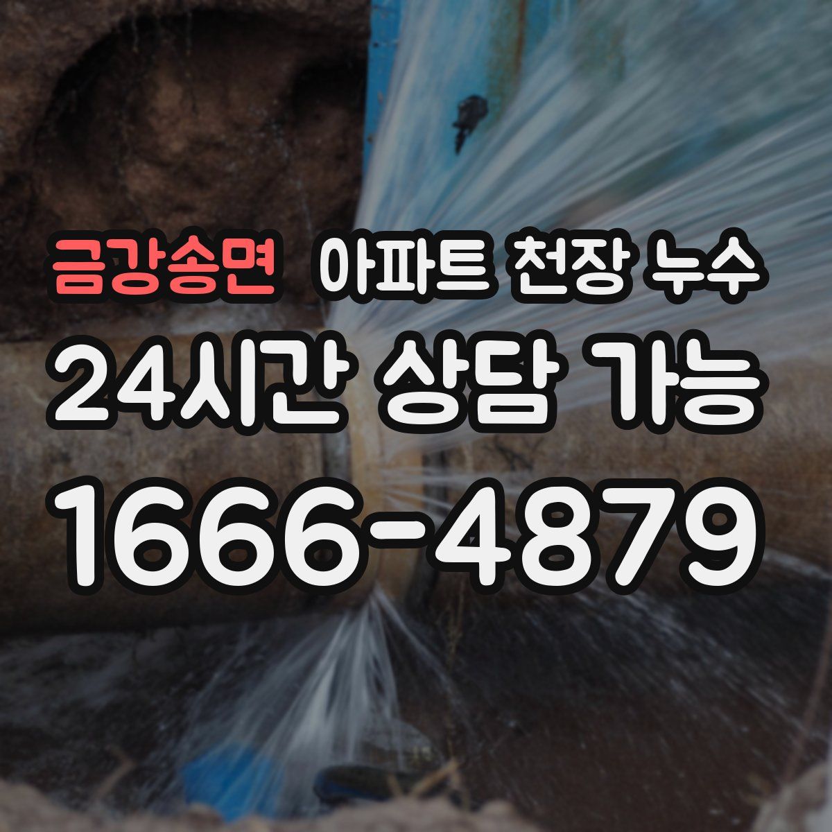 금강송면 아파트 천장 누수